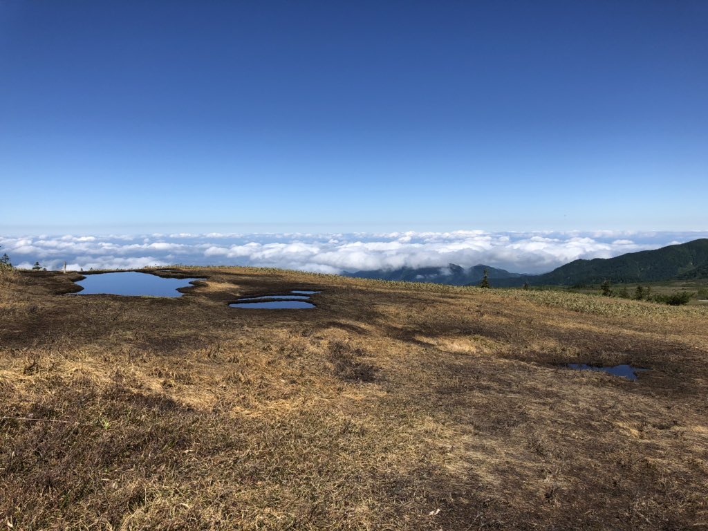 f:id:akiranngo:20190625174824j:plain f:id:akiranngo:20190625174824j:plain