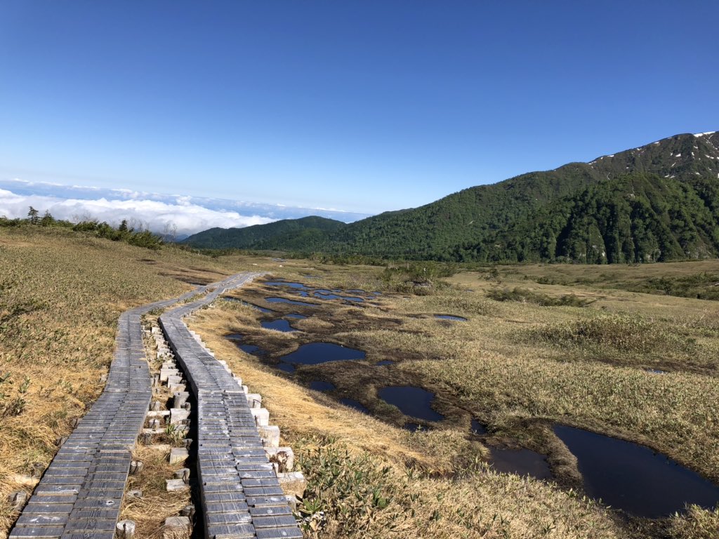 f:id:akiranngo:20190625174855j:plain f:id:akiranngo:20190625174855j:plain