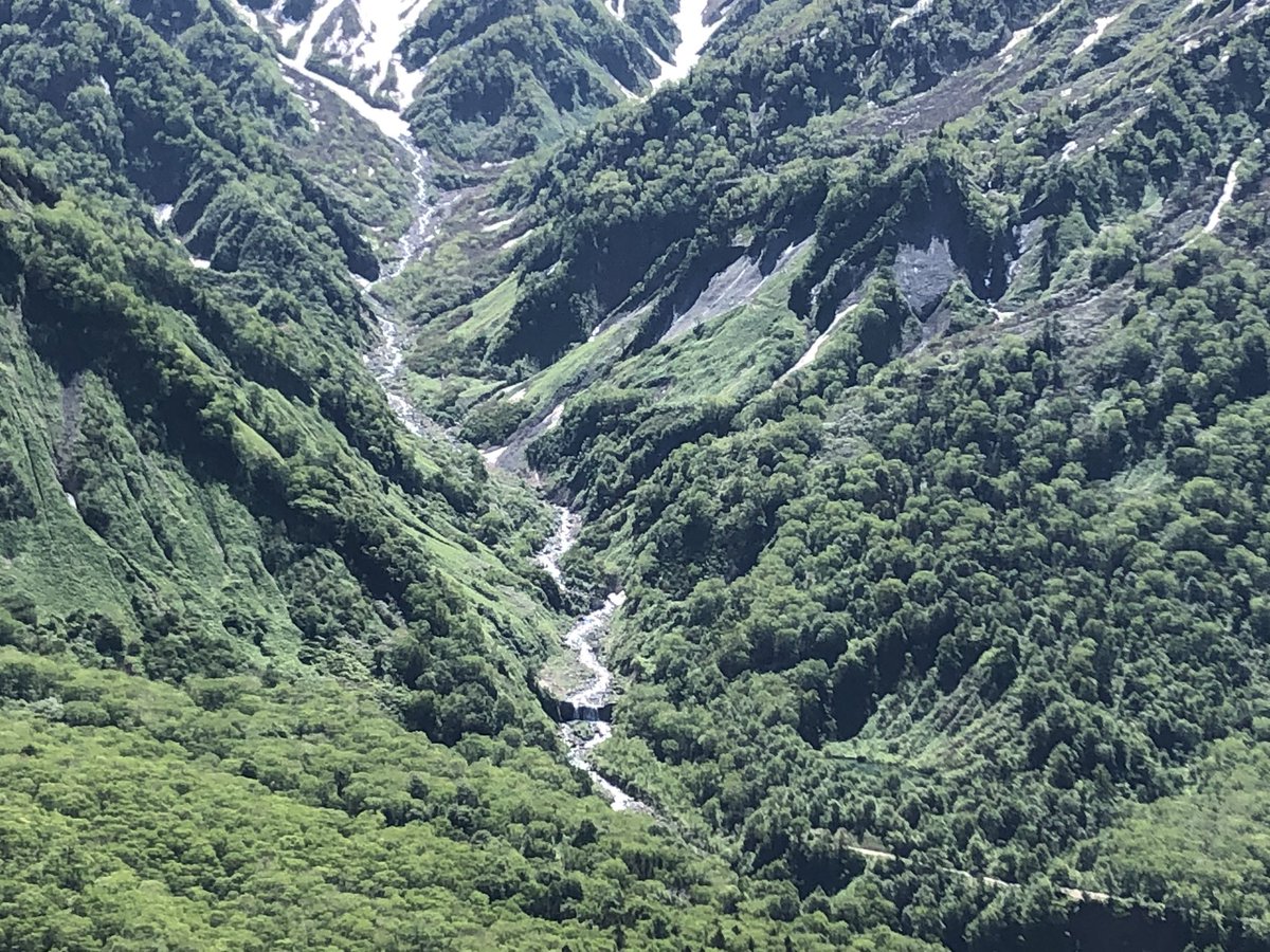 f:id:akiranngo:20190625175027j:plain f:id:akiranngo:20190625175027j:plain