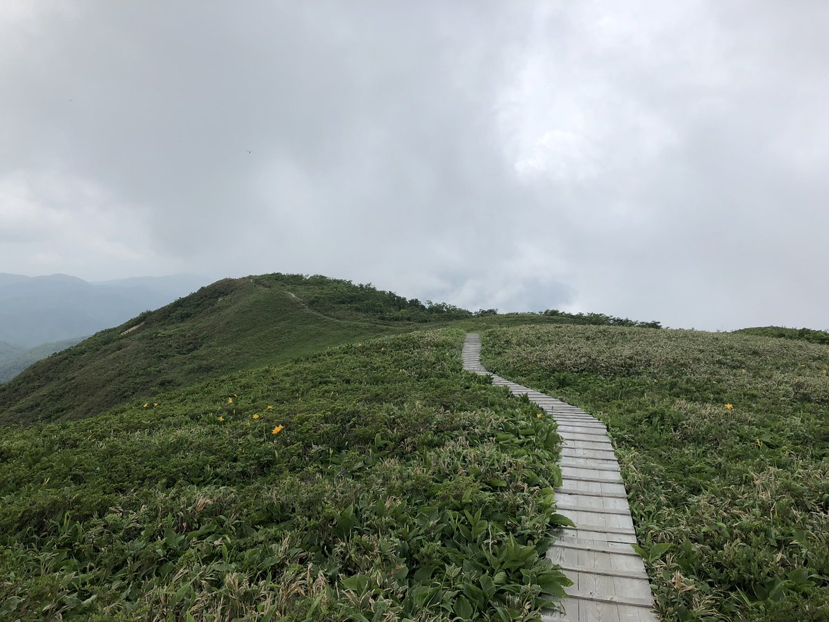 f:id:akiranngo:20190702163510j:plain