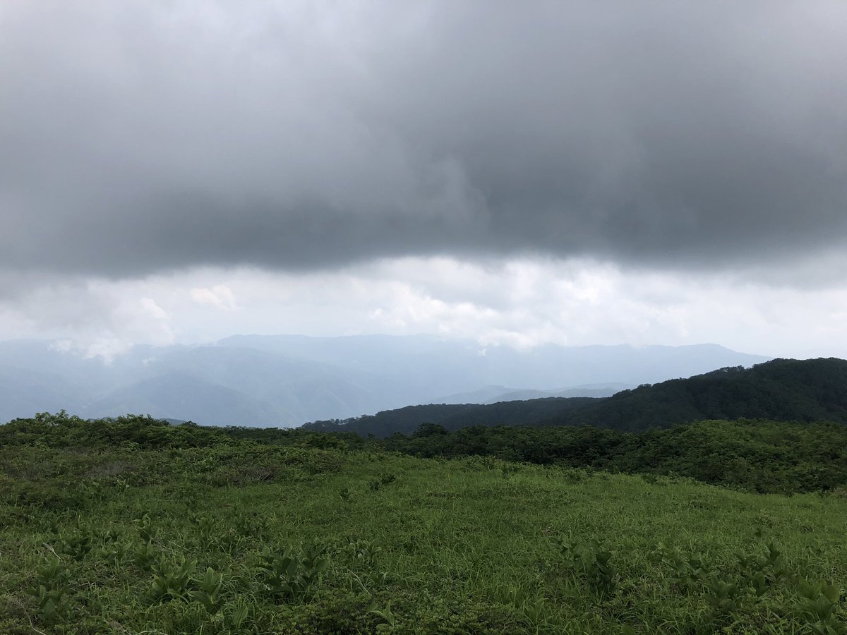 f:id:akiranngo:20190702164022j:plain
