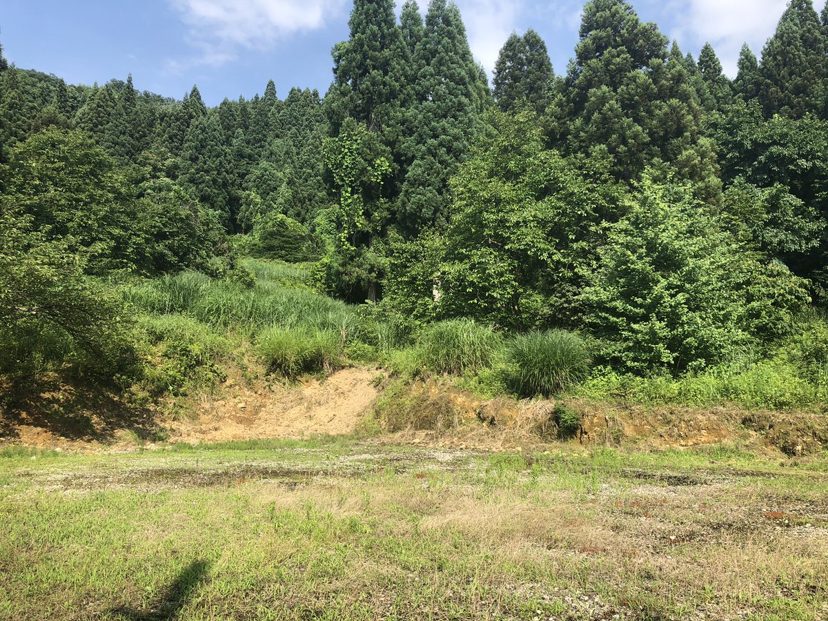 f:id:akiranngo:20190710184334j:plain f:id:akiranngo:20190710184334j:plain