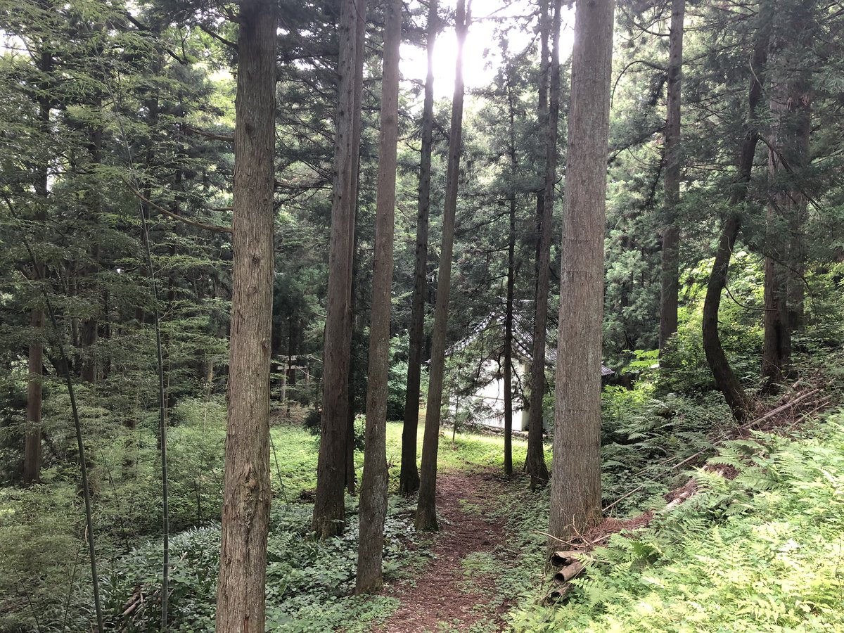 f:id:akiranngo:20190710223820j:plain