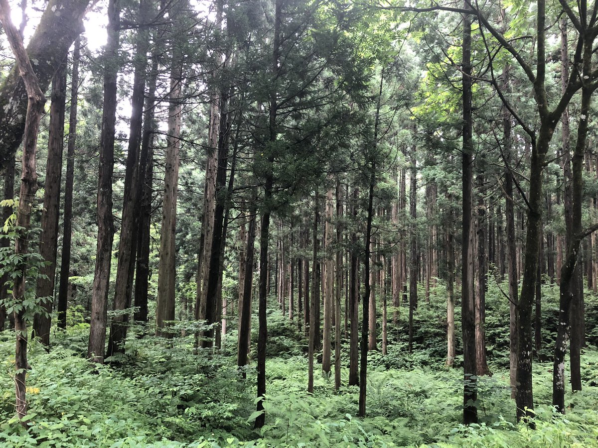 f:id:akiranngo:20190716192927j:plain