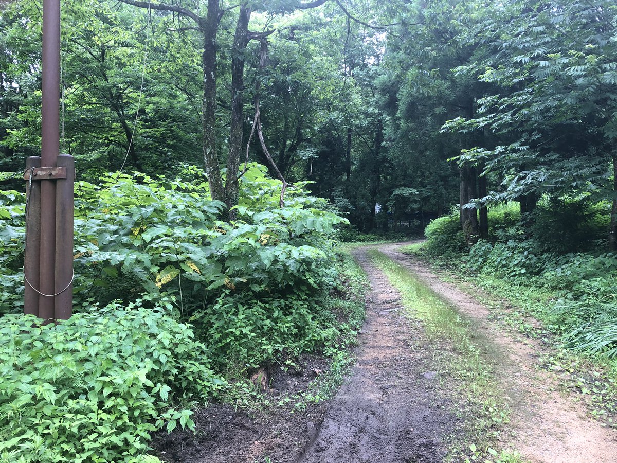 f:id:akiranngo:20190716192942j:plain