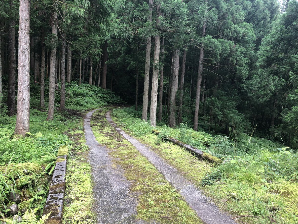 f:id:akiranngo:20190717203634j:plain f:id:akiranngo:20190717203634j:plain