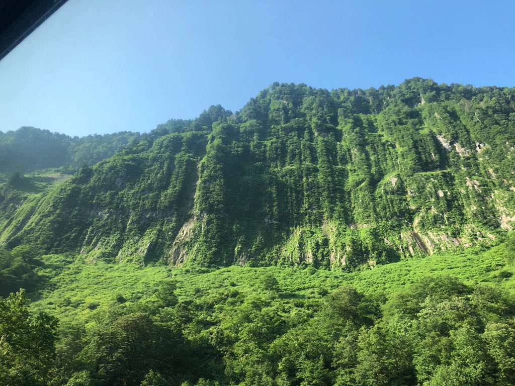 f:id:akiranngo:20190802150538j:plain