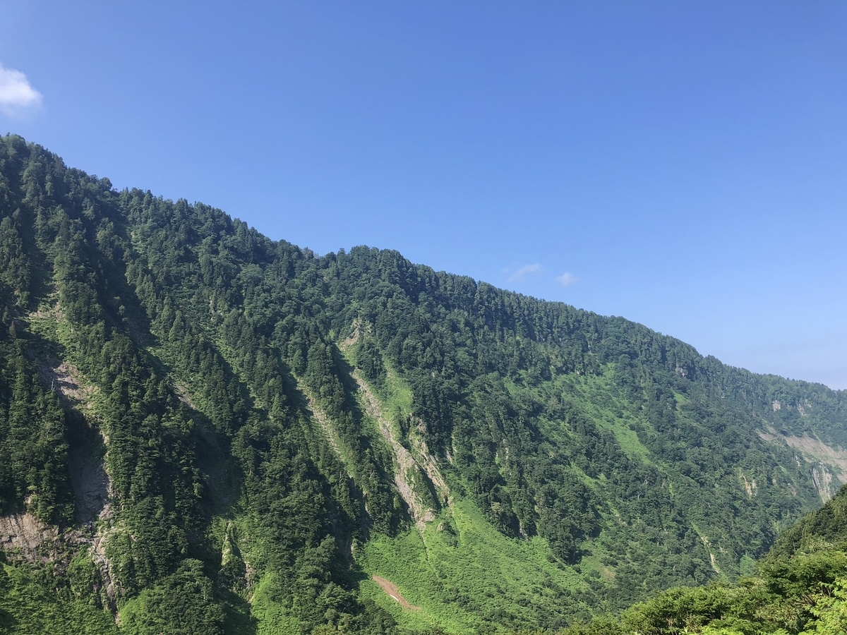 f:id:akiranngo:20190802150648j:plain