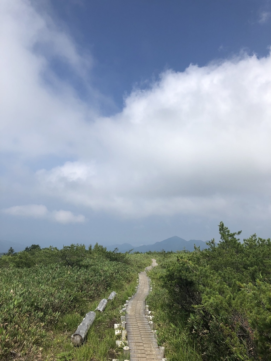 f:id:akiranngo:20190802150758j:plain