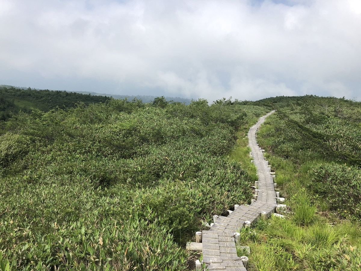 f:id:akiranngo:20190802150816j:plain