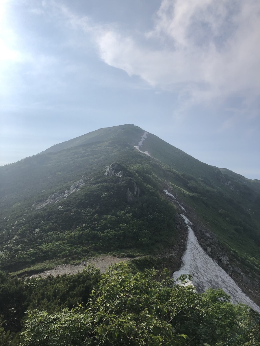 f:id:akiranngo:20190802191938j:plain