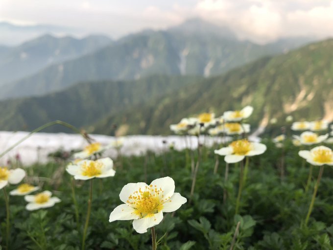 f:id:akiranngo:20190802192108j:plain