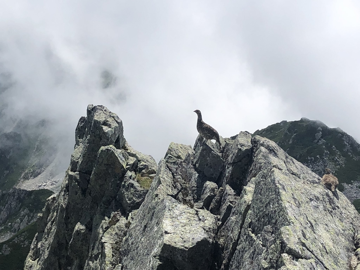 f:id:akiranngo:20190827184511j:plain