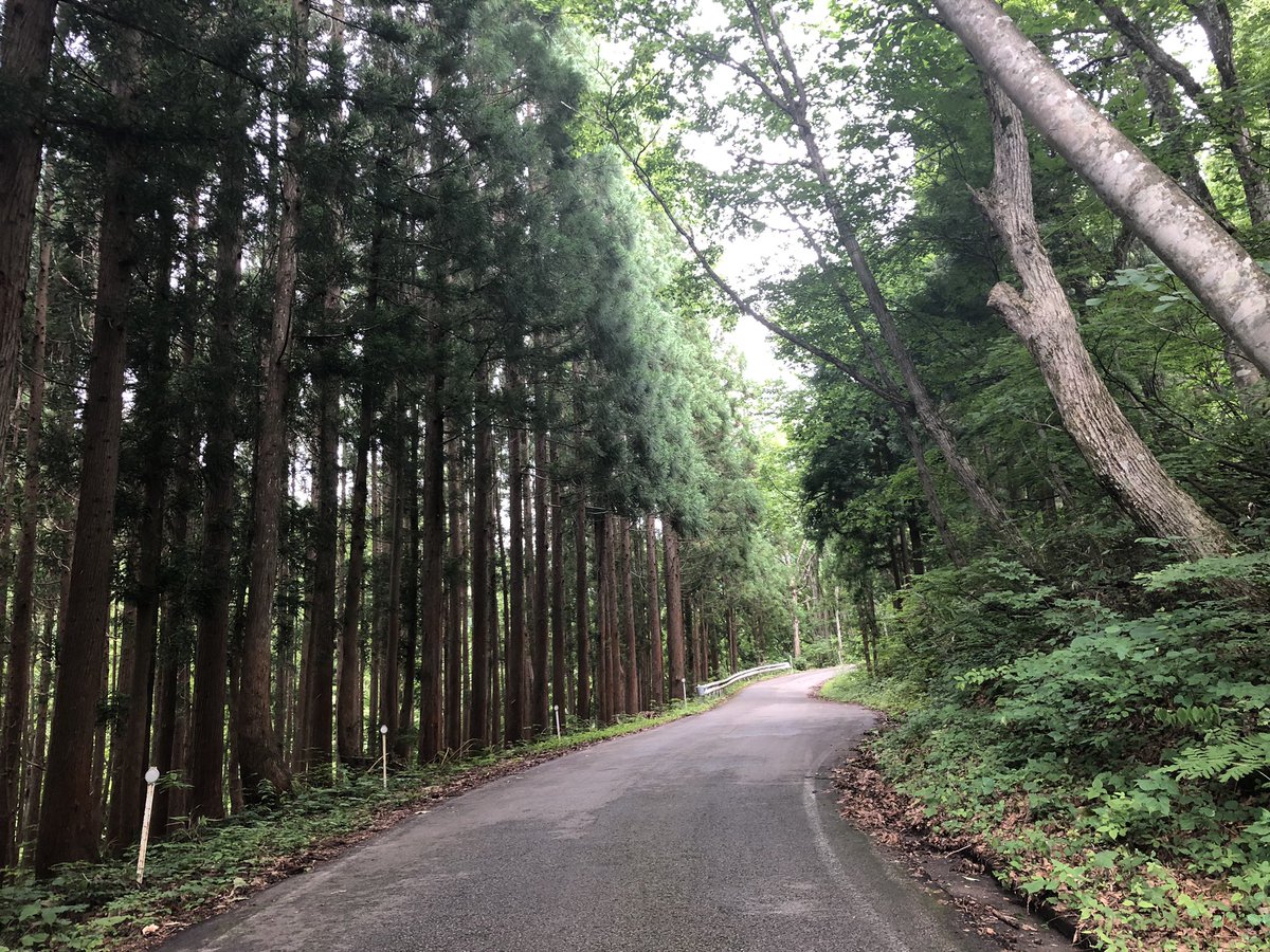 f:id:akiranngo:20190831105300j:plain f:id:akiranngo:20190831105300j:plain