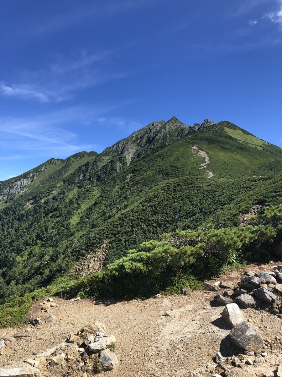f:id:akiranngo:20190907201309j:plain f:id:akiranngo:20190907201309j:plain
