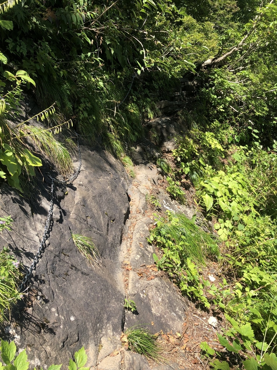 f:id:akiranngo:20190917225521j:plain
