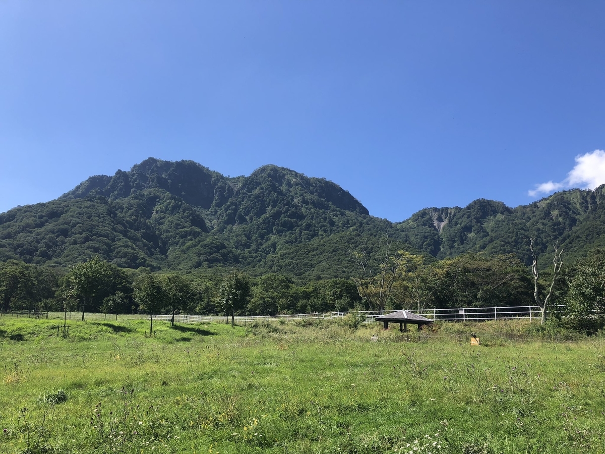f:id:akiranngo:20190917225557j:plain