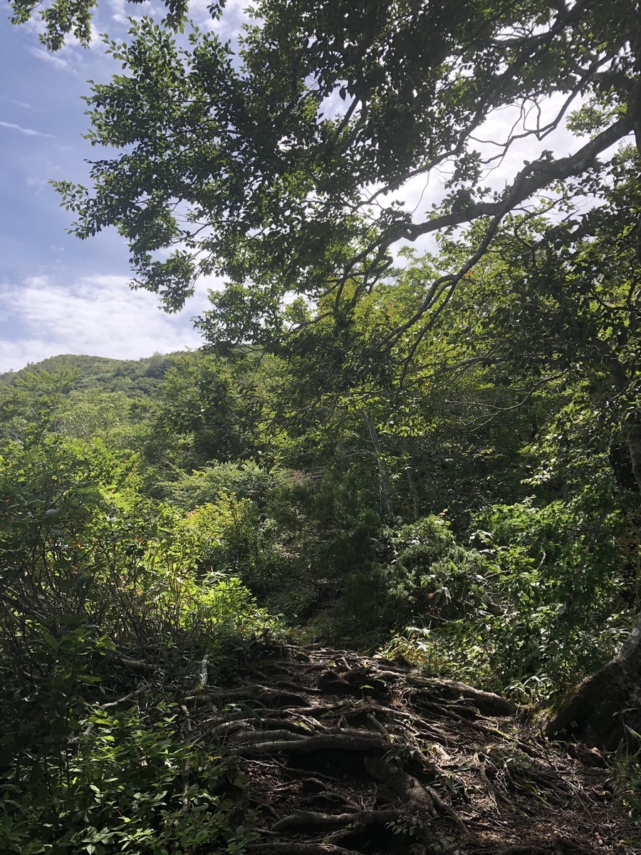 f:id:akiranngo:20190923223412j:plain
