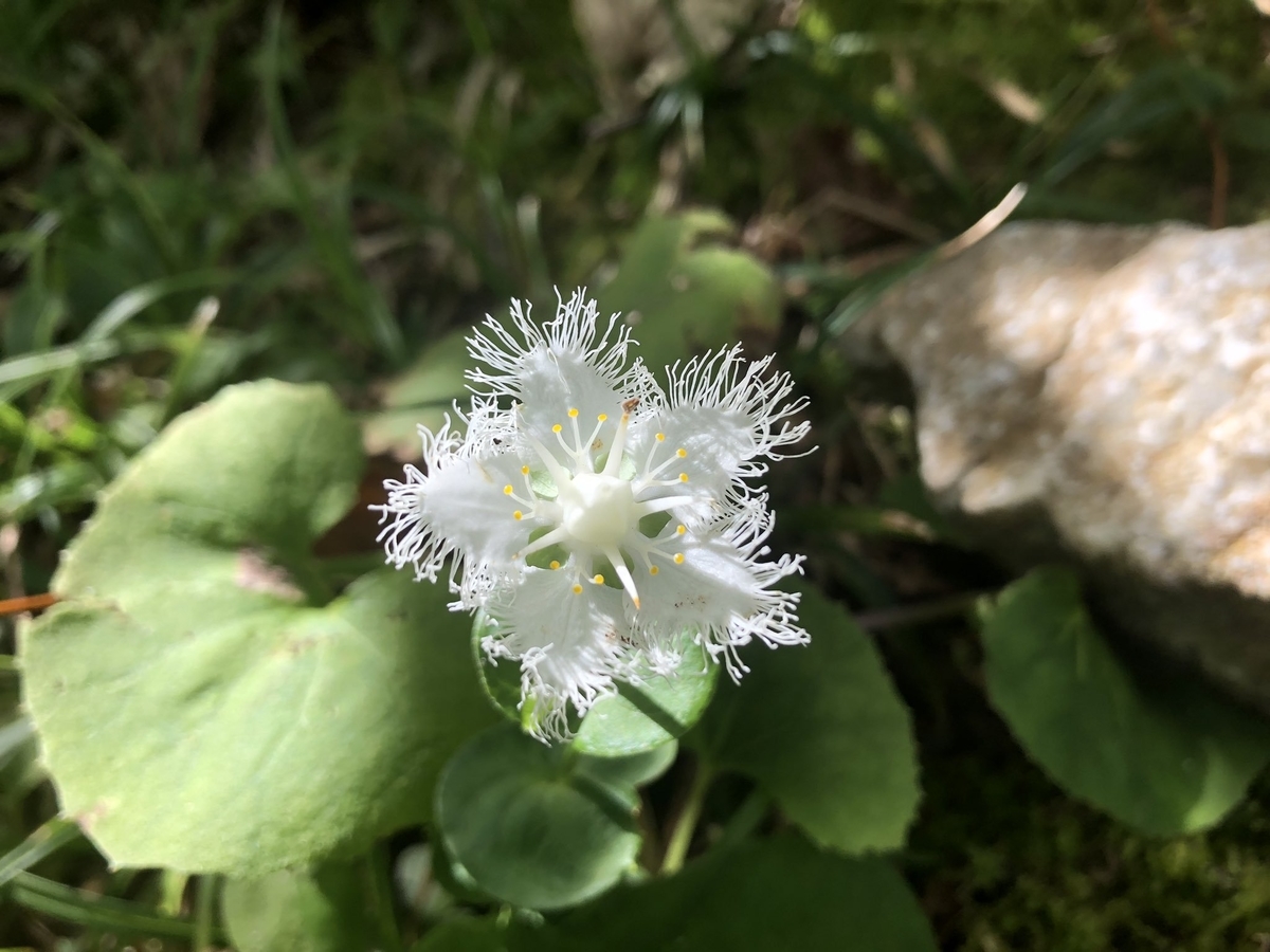 f:id:akiranngo:20190923223434j:plain