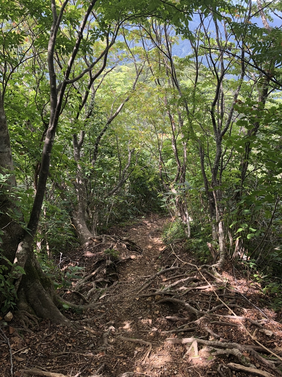 f:id:akiranngo:20190923223953j:plain