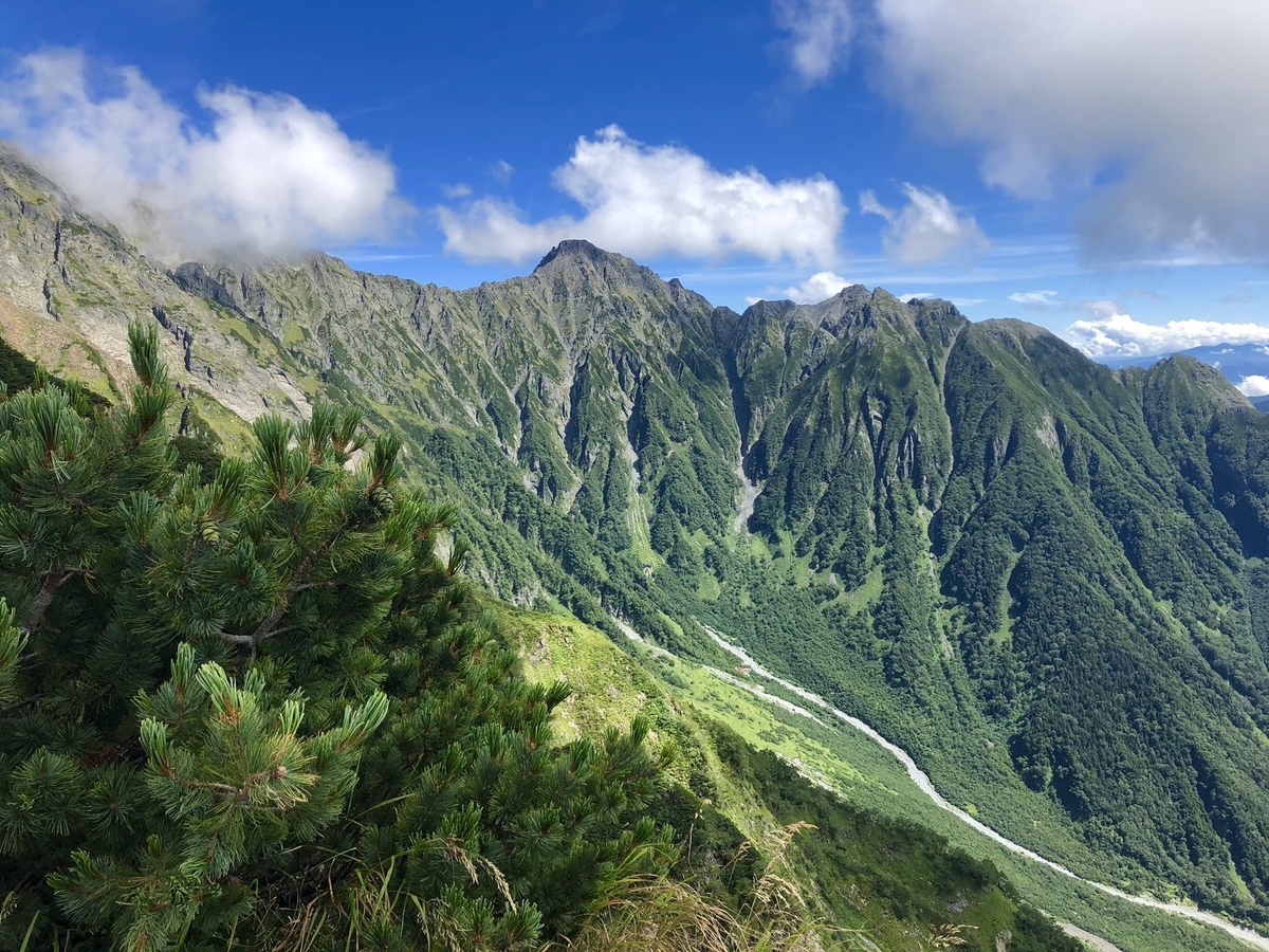 f:id:akiranngo:20191231232307j:plain f:id:akiranngo:20191231232307j:plain