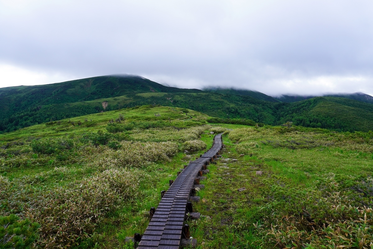 f:id:akiranngo:20200719210111j:plain f:id:akiranngo:20200719210111j:plain