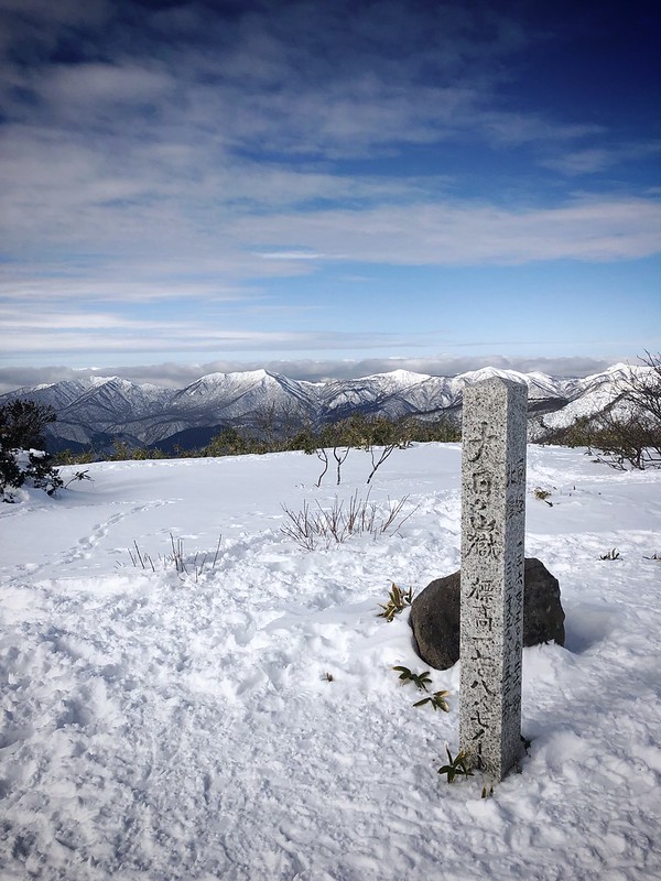 f:id:akiranngo:20210101193531j:plain