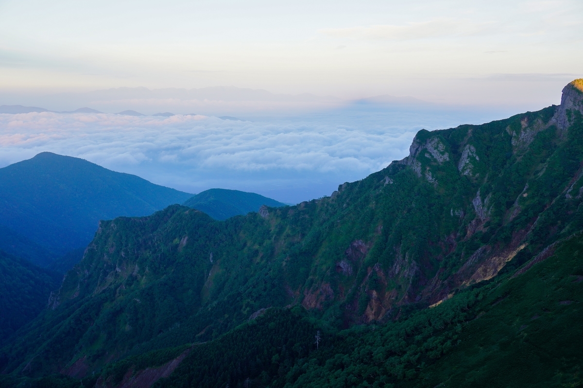 f:id:akiranngo:20210102204311j:plain