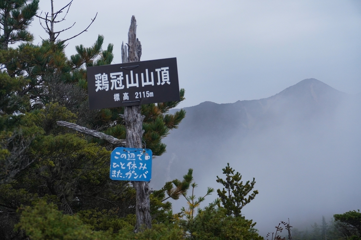 f:id:akiranngo:20210516163658j:plain