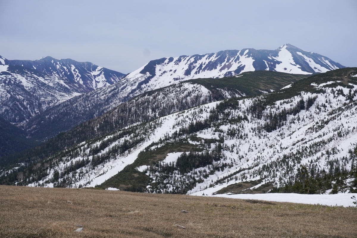 f:id:akiranngo:20210609210352j:plain