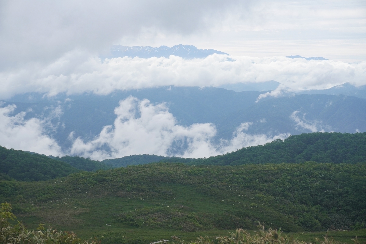 f:id:akiranngo:20210620205429j:plain