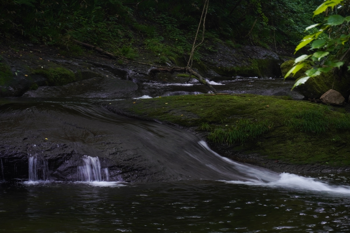 f:id:akiranngo:20210627140211j:plain