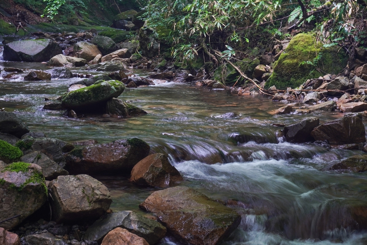 f:id:akiranngo:20210627140216j:plain