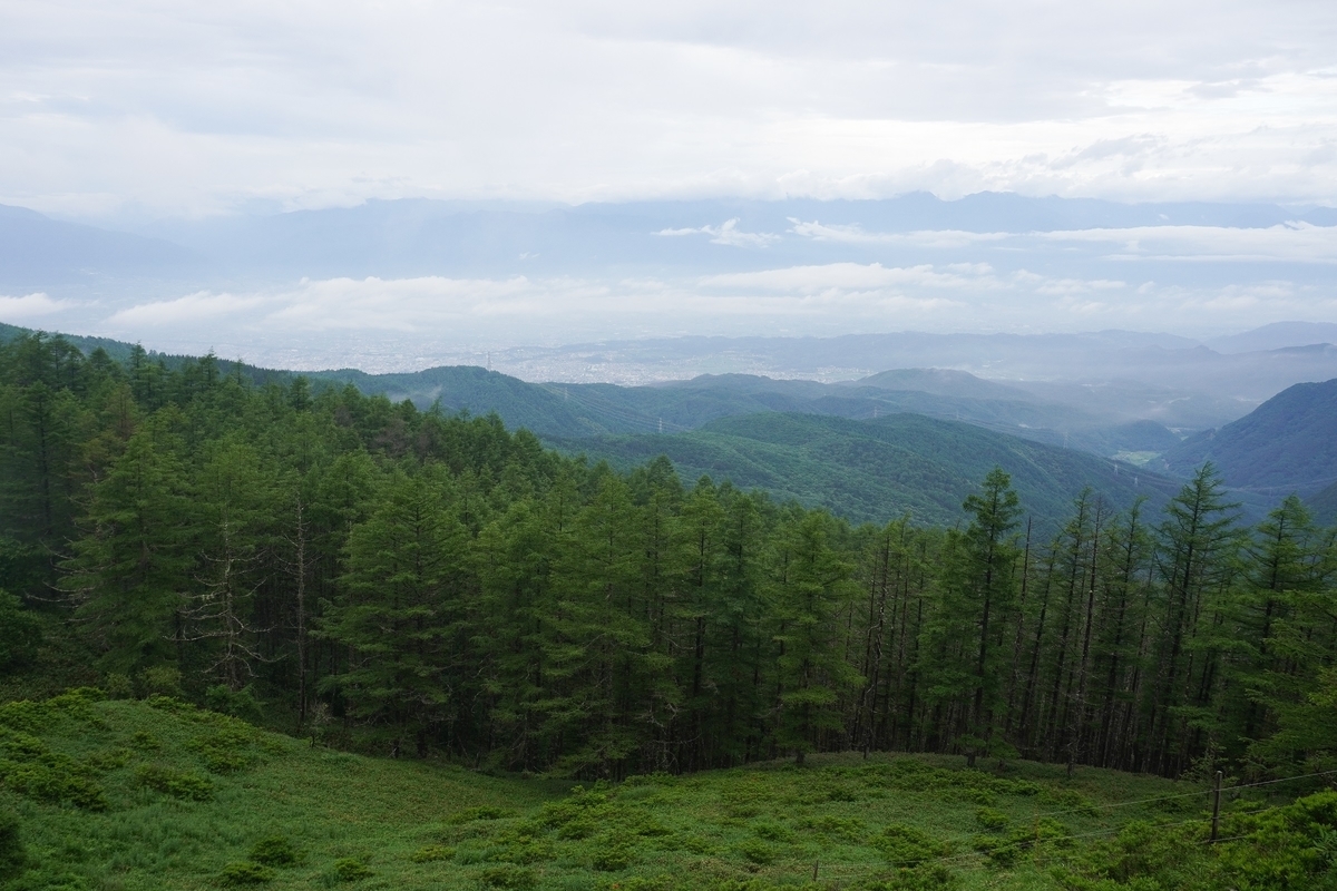 f:id:akiranngo:20210711194827j:plain