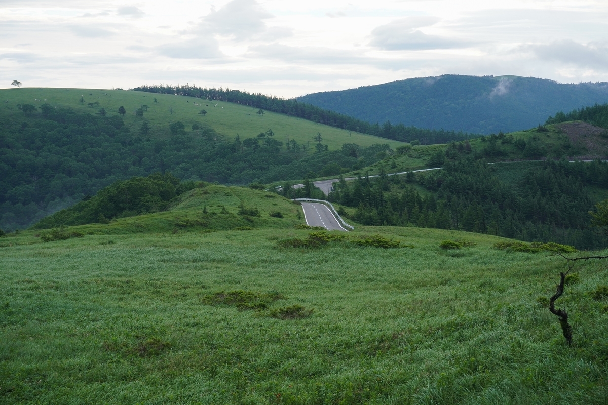 f:id:akiranngo:20210711194834j:plain