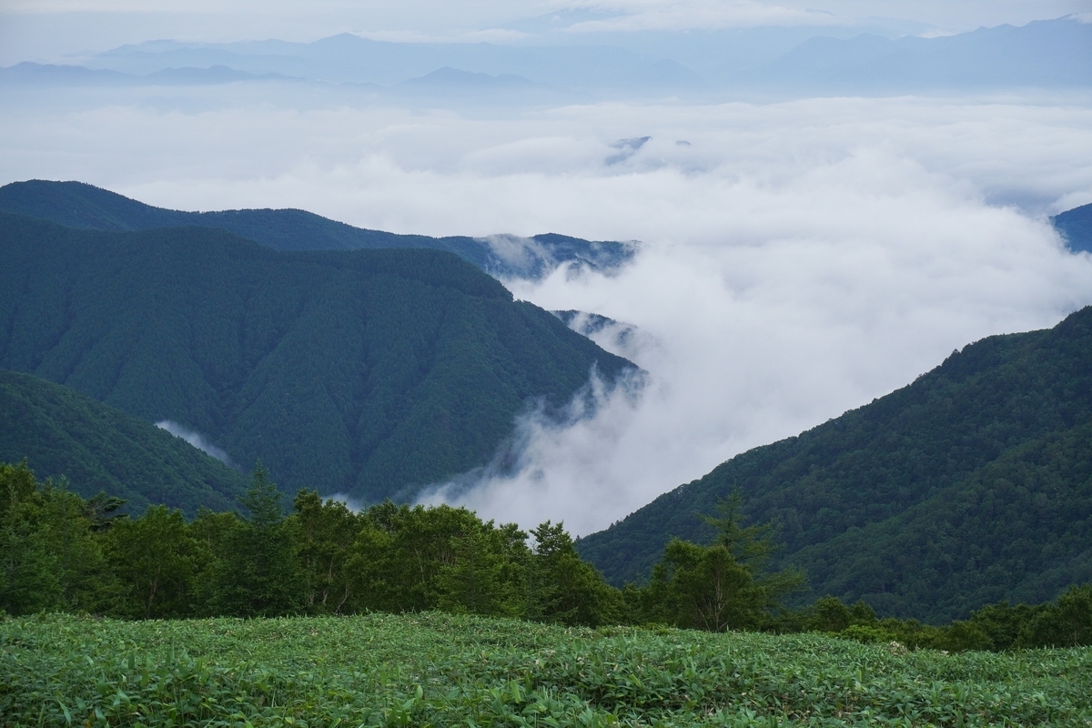 f:id:akiranngo:20210711194839j:plain