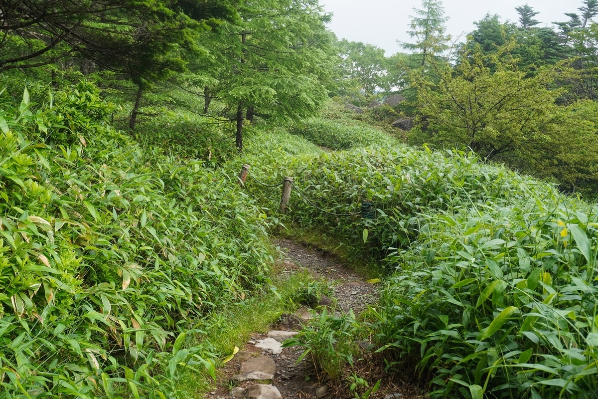 f:id:akiranngo:20210711194847j:plain