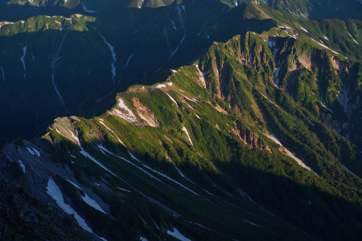 f:id:akiranngo:20210801182821j:plain