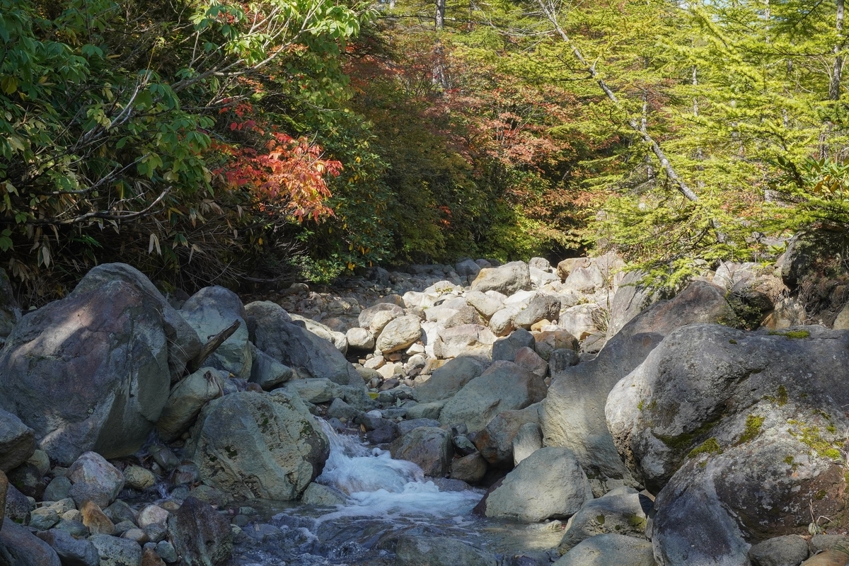 f:id:akiranngo:20211005205508j:plain