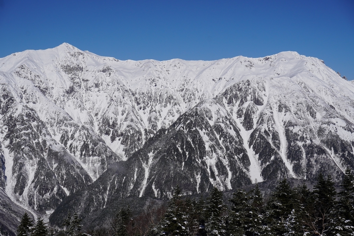 f:id:akiranngo:20211205202227j:plain