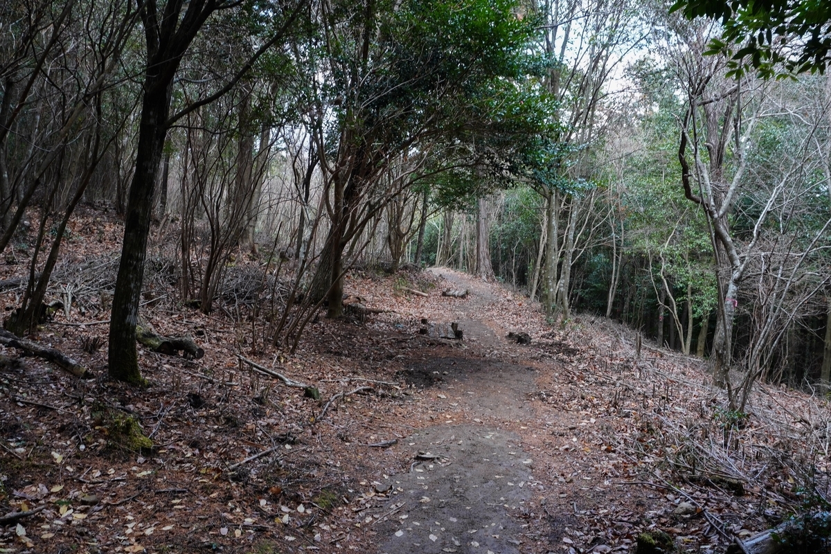 f:id:akiranngo:20220111204706j:plain