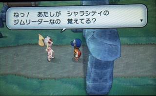 ポケモンxyに挑戦其の13 セキタイタウン到着 11番道路でポケモン集め あきののんびりゲームブログ