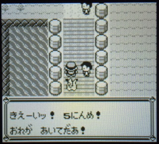 サザンアイランド　カメール　ピカチュウ　コイキング pokemon1_2G_129koiking.png.webp