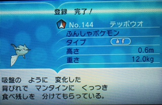 ポケモンxyに挑戦其の18 イーブイを色々進化 13番道路からカロス発電所へ あきののんびりゲームブログ