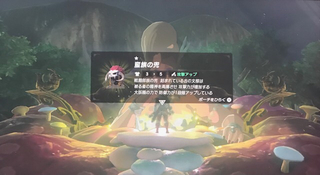 E4E96A47-6F0E-47FE-ACB0-4FD2080B58A8.jpg