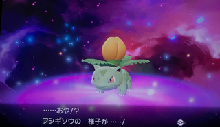 66EB945F-E83E-4ADE-904F-A5FC81AB8FE6.jpg