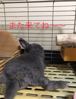 7982799A-BF0D-4EC5-B4E6-52E63B3C27EA.jpg