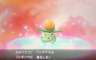 ポケモンlet Go ピカチュウ イーブイ10 いつの間にか色違いゲットしてましたs ﾉ ﾉ あきののんびりゲームブログ