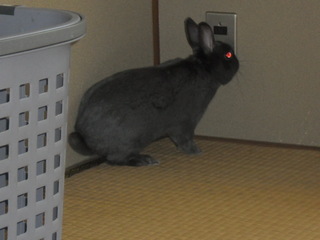 CIMG0096.JPG