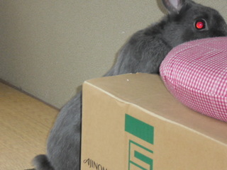 CIMG0098.JPG